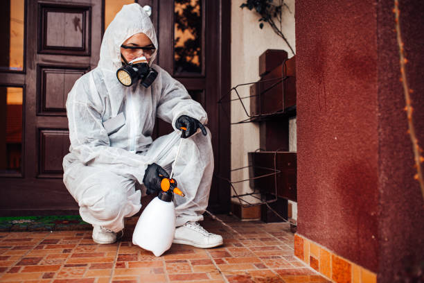 Reliable Cockroach Control contractor in Blountville, TN by Nex Pest Control
