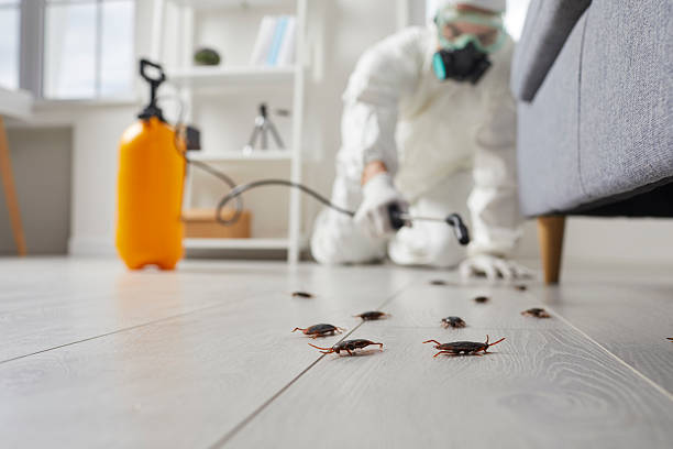 Trusted Cockroach Control service in Blountville, TN - Nex Pest Control