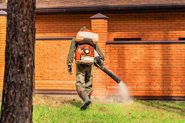 Trusted Ant Control service in Blountville, TN - Nex Pest Control